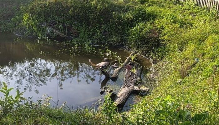 Sunyi yang Menyimpan Luka: Kepergian Jemi di Kubangan Sepi