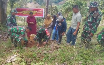 Tanam Pohon, Tanam Harapan! TMMD ke-126 Bikin Desa Tonala Makin Hijau